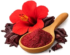 Hibiskus-Extrakt in Cardirin